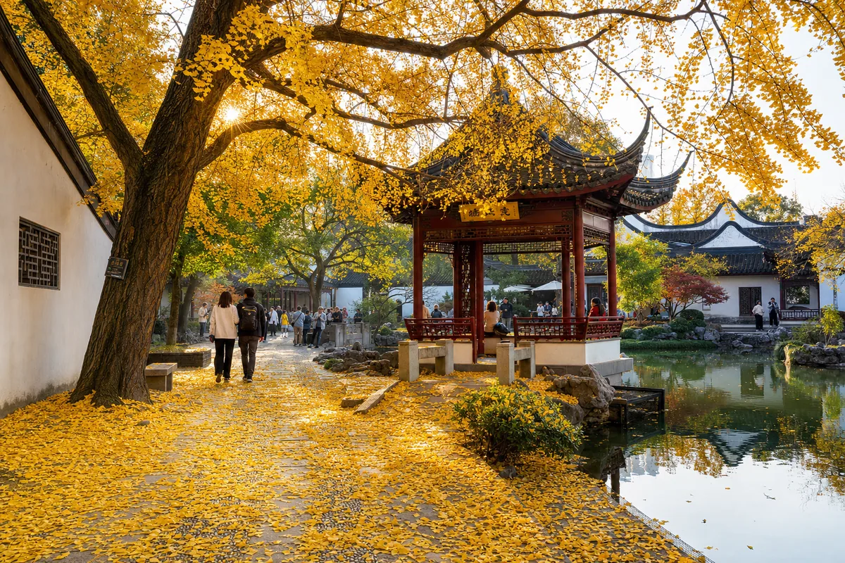 Golden ginkgo leaves carpeting a classical garden path in Hangzhou in autumn
