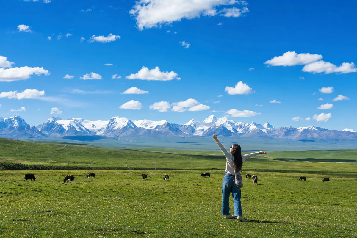Tibetan plateau in summer with green grassland, snow-capped mountains, and clear blue sky