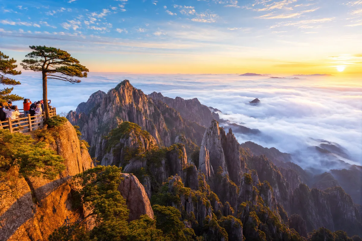 Granite peaks of Huangshan with twisted pines rising above a sea of clouds at sunrise