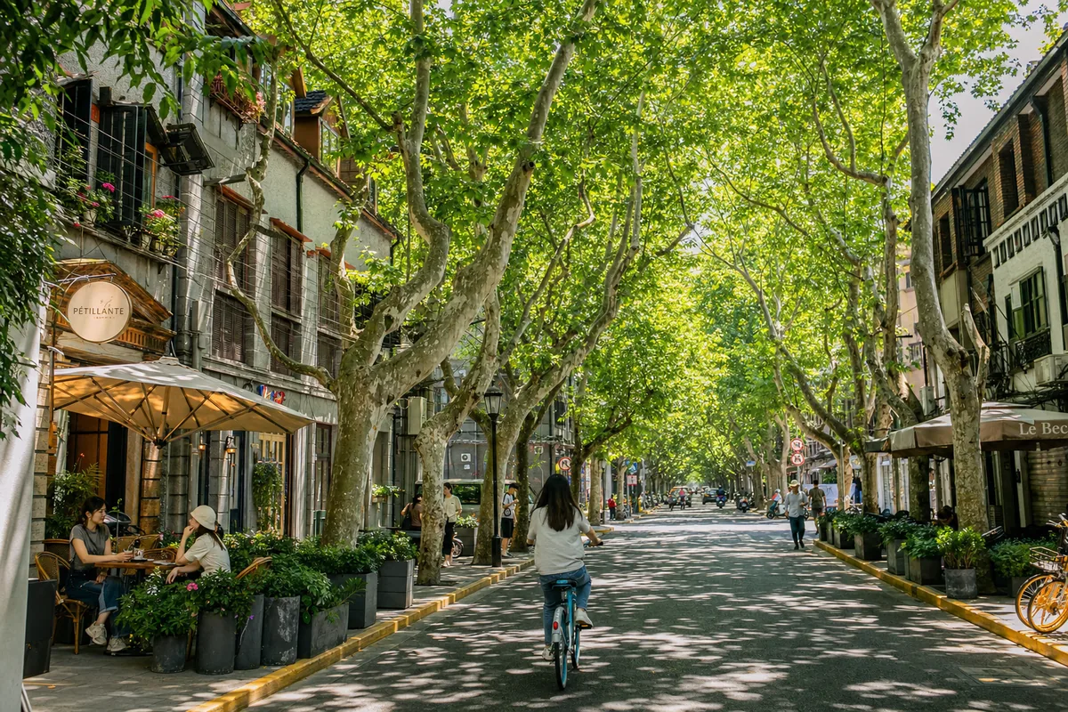 Plane-tree-lined street in Shanghai's former French Concession with cafés and low-rise lane houses