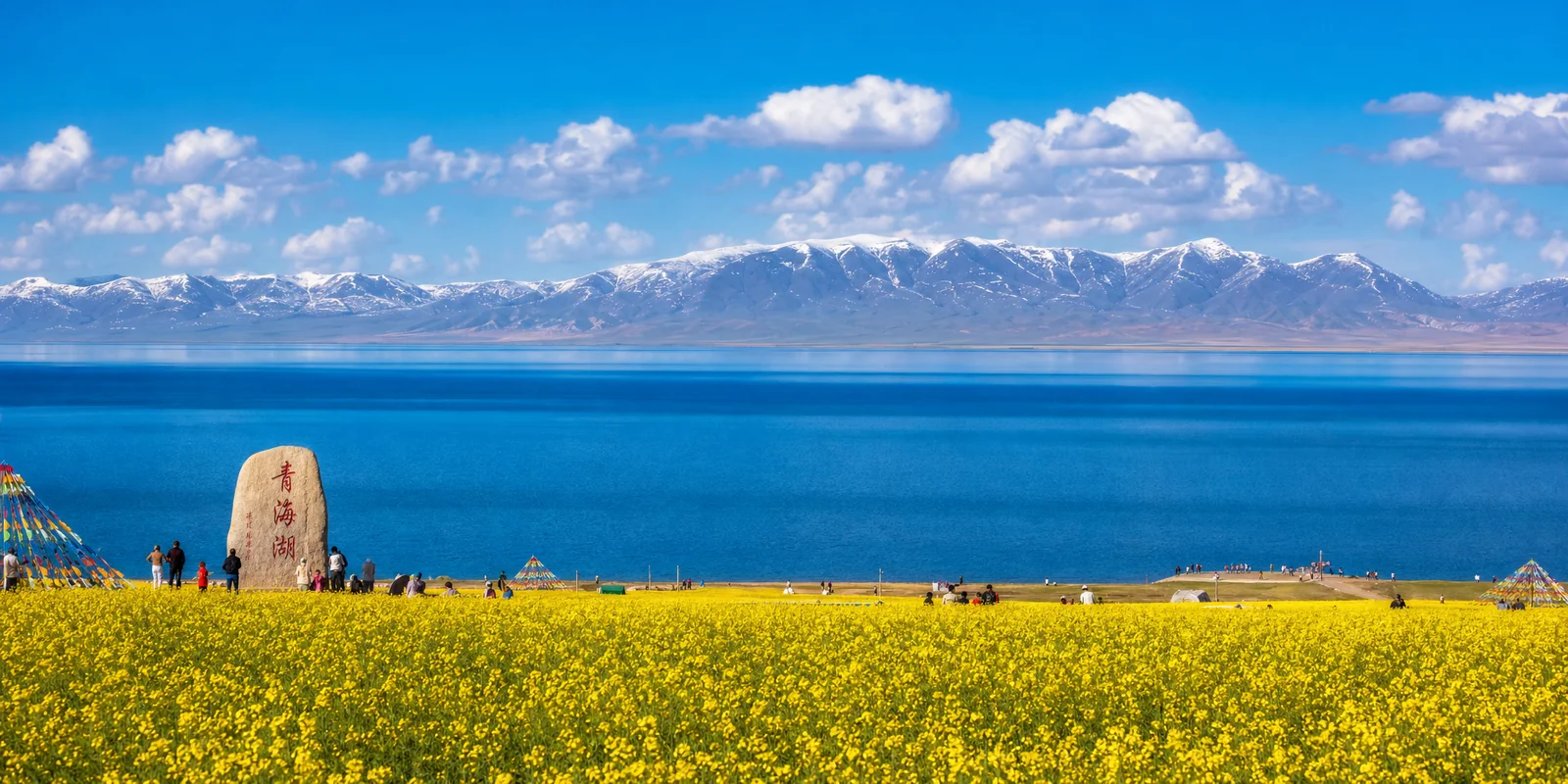 Qinghai Lake in summer with deep blue water, yellow rapeseed fields and distant snow-capped mountains