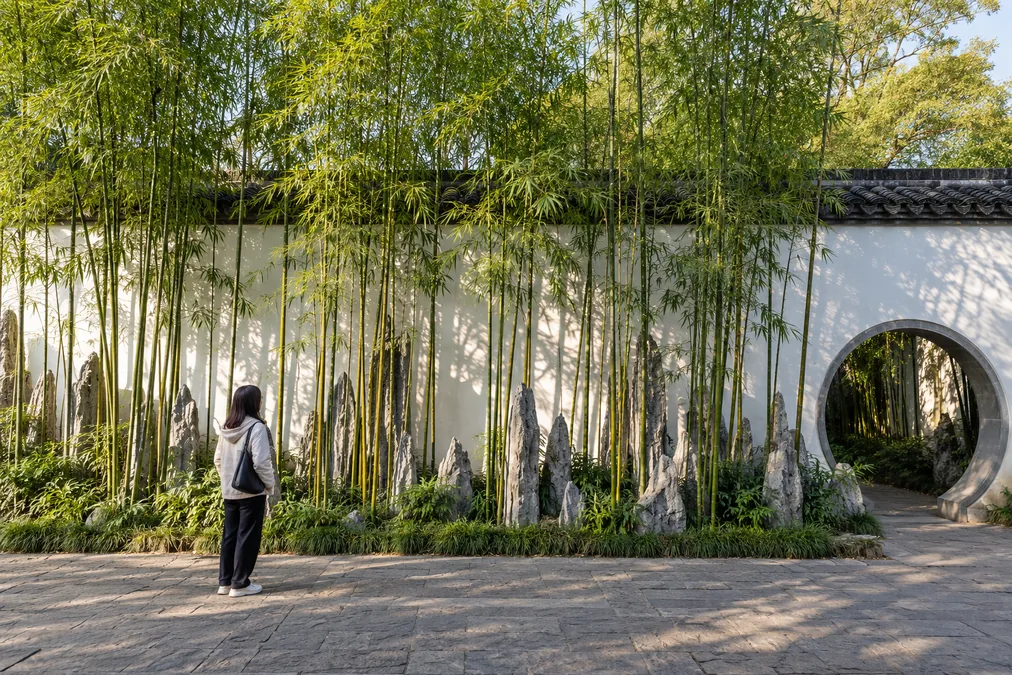 Bamboo grove and slender stone spikes in front of a white wall at Ge Garden, Yangzhou
